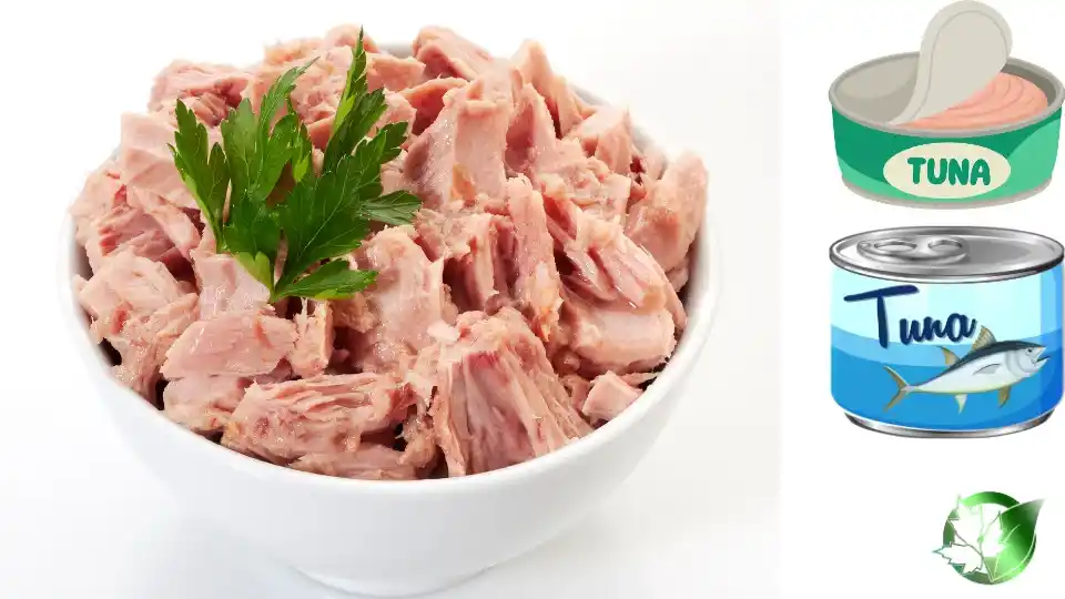 Commercial presentation of Canned Tuna for wholesale product evaluation and buyer review.